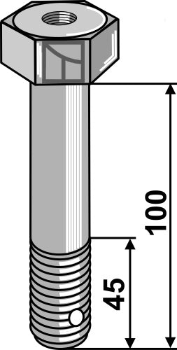 Bolt M20