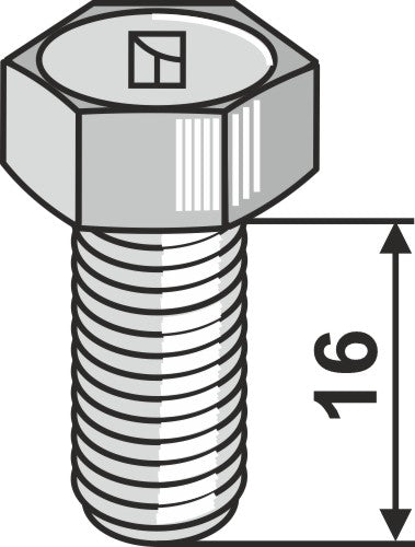 Bolt M12
