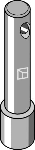 Pin