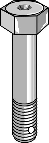 Bolt M20