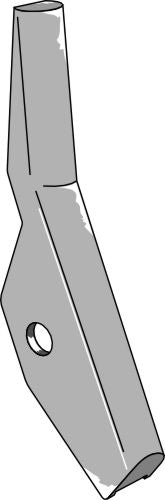 Shin