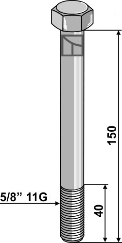 Bolt 5/8'' 11G