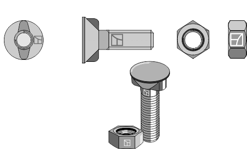 Plough bolt M10x1,5x25 with hexagon nut
