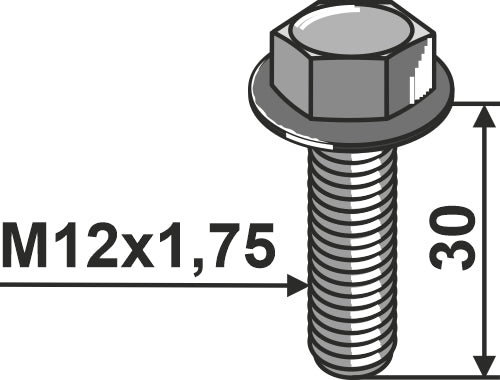 Ratchet-head screw M12x1,75