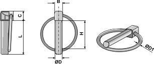 Special linch pin