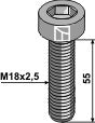 Hexagon socket bolt - M18x2,5 - 12.9