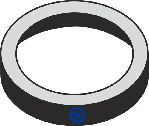 Dust seal