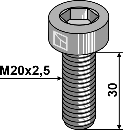 Hexagon socket bolt - M20x2,5 - 10.9