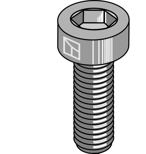 Hexagon socket bolt - M20x2,5 - 10.9