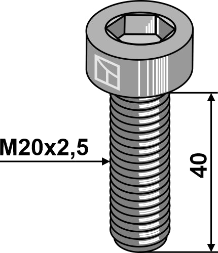 Hexagon socket bolt - M20x2,5 - 10.9