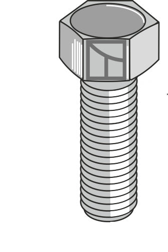 Bolt M24x3x55