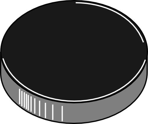 Dust seal