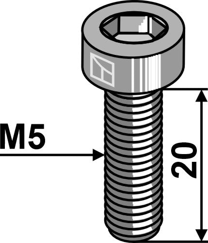 Hexagon socket bolt