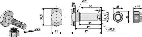 Blade bolt M 20 x 35 - 12.9 with hexagon castle nut