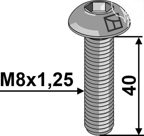 84073808v 1