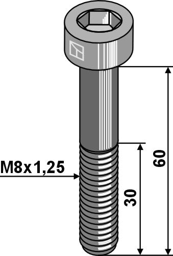 Hexagon socket bolt M8x1,25x60 - Galvanized
