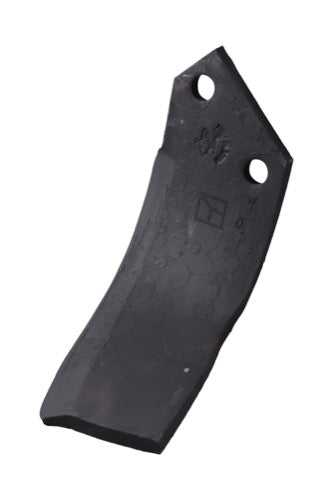 cel 31r 1